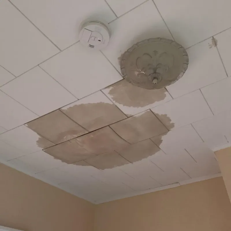 Ceiling Water Damage Repair in Advance, NC