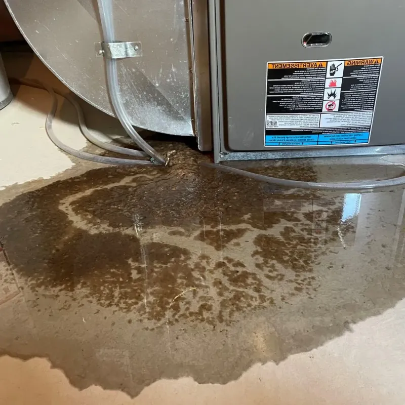 Pipe Burst and Leak Restoration in Advance, NC