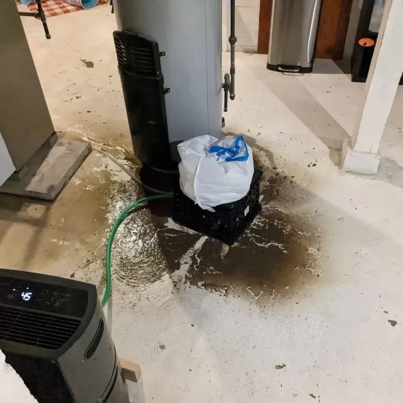 Sewage Backup Cleanup Service in Advance, NC